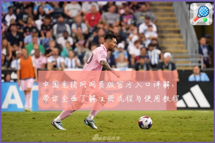 中国竞猜网网页版官方入口详解,带你全面了解注册流程与使用教程