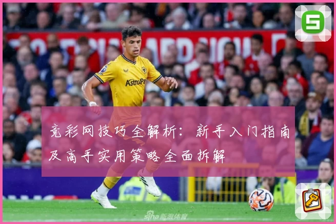 竞彩网技巧全解析：新手入门指南及高手实用策略全面拆解