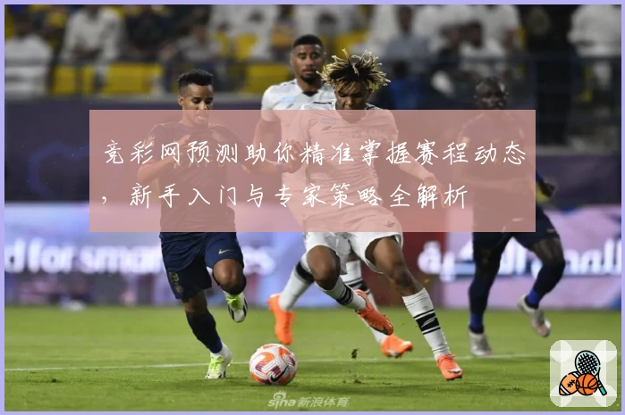 竞彩网预测助你精准掌握赛程动态,新手入门与专家策略全解析