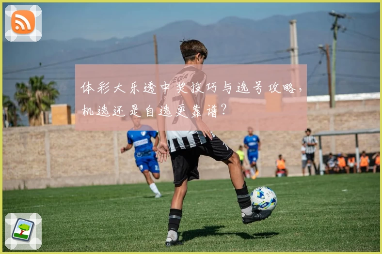体彩大乐透中奖技巧与选号攻略，机选还是自选更靠谱？